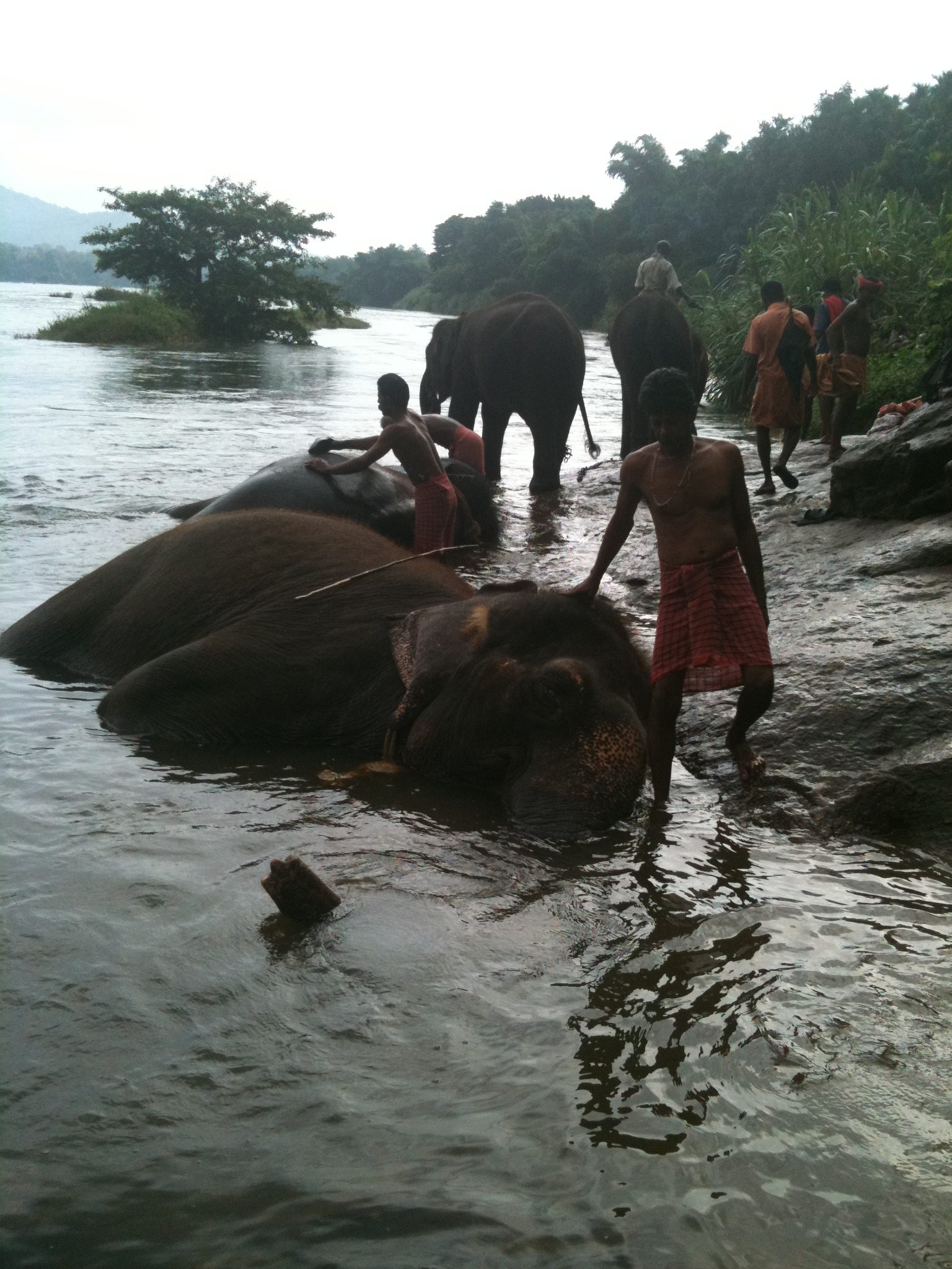 Prélude De Mon Voyage En Inde