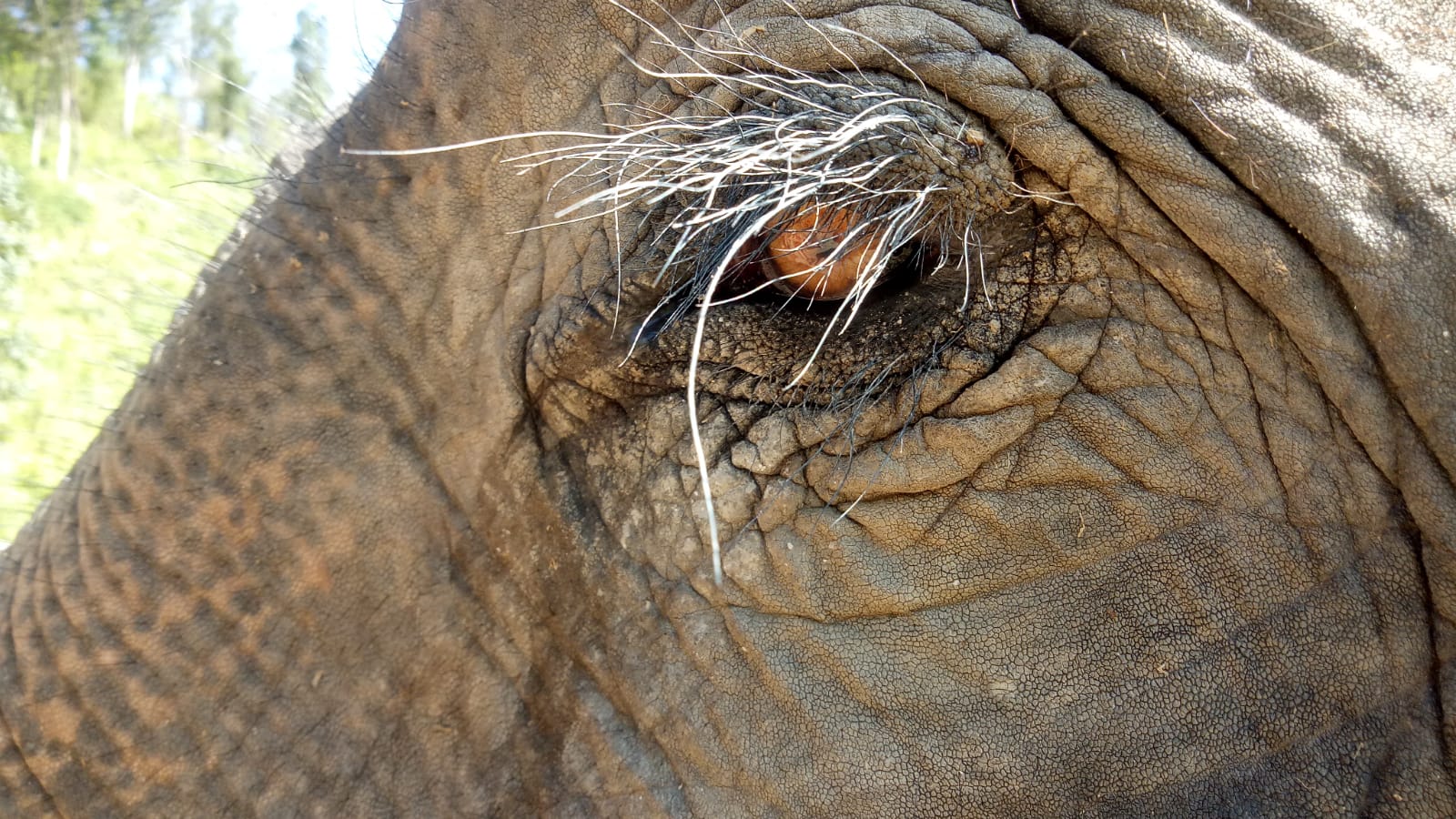 Voyage solidaire humanitaire sur la terre des éléphants
