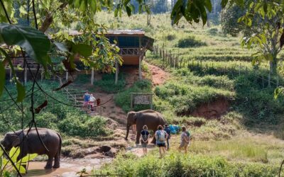 Voyager autrement sur la terre des éléphants : la Thaïlande