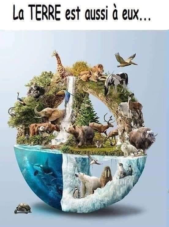 Un voyage initiatique spirituel avec les éléphants au Kenya