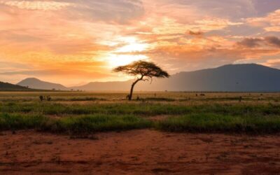 Voyage initiatique en Afrique