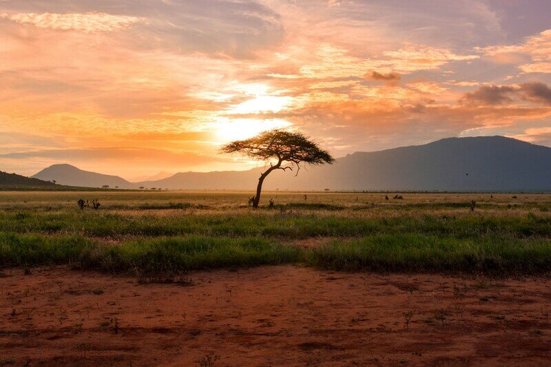 Voyage initiatique en Afrique