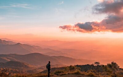 Écopsychologie & Écothérapie : entre nature et écologie