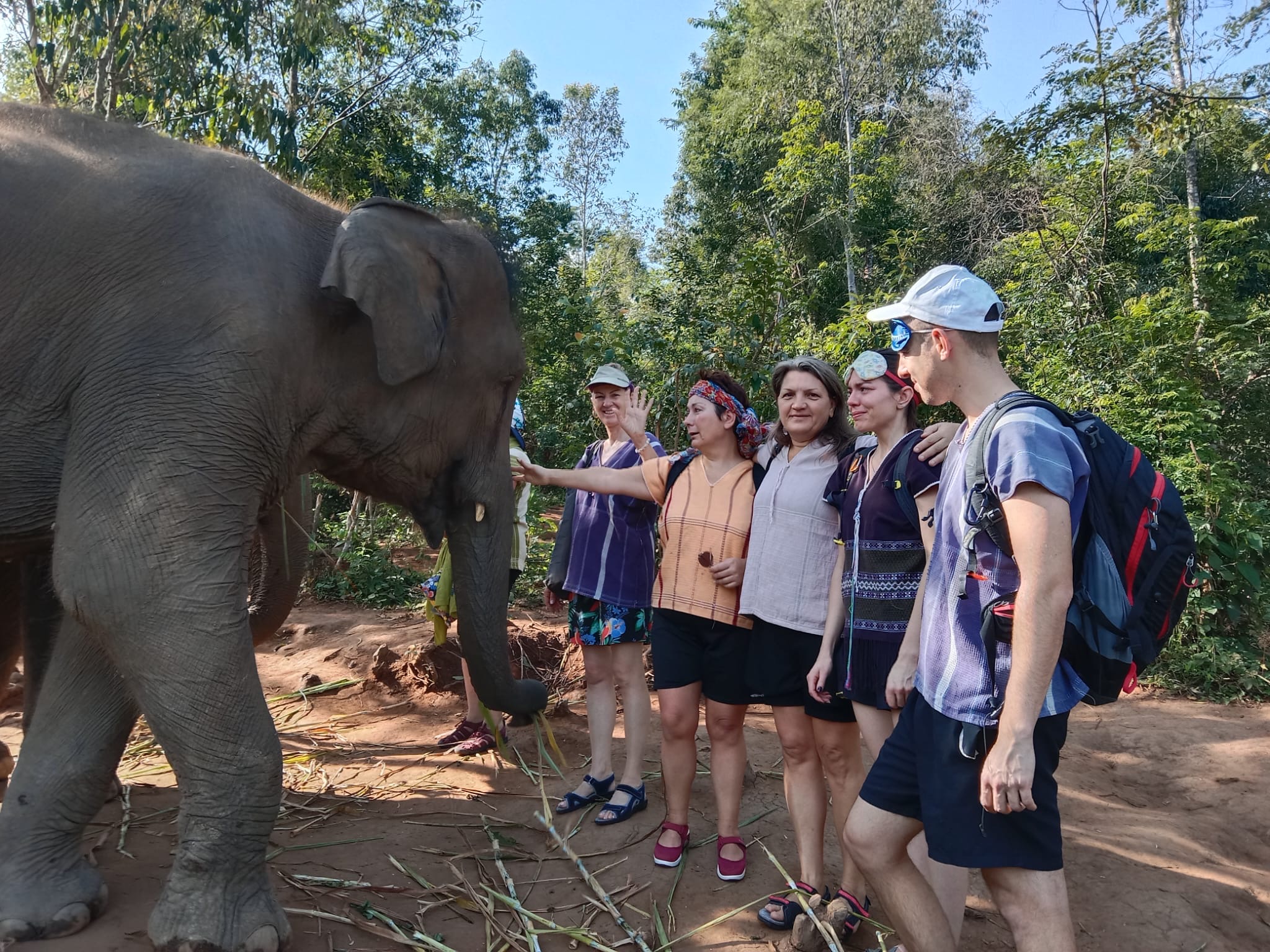 Stage avec les éléphants