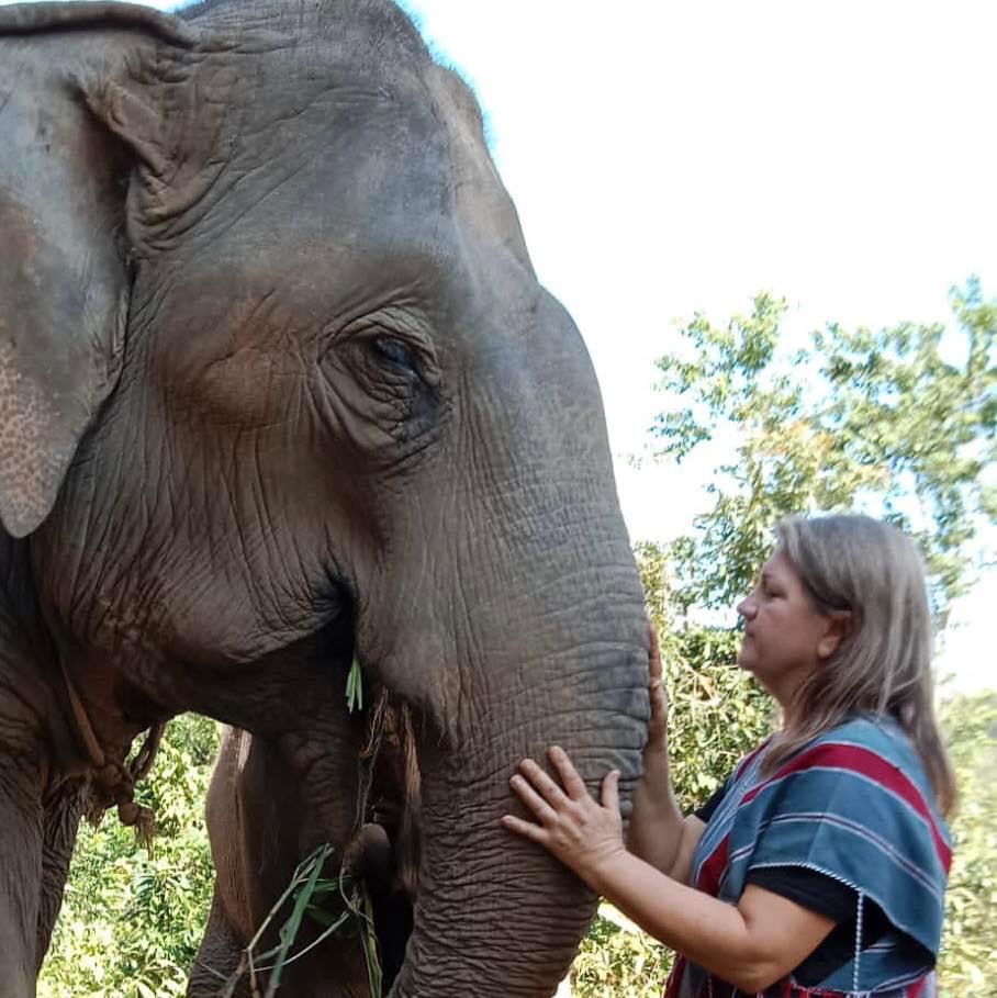 La nature et les animaux sont des guérisseurs. En prenant soin d’eux, nous prenons soin de nous. 