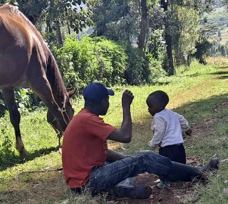 Muringa Farm, Kenya