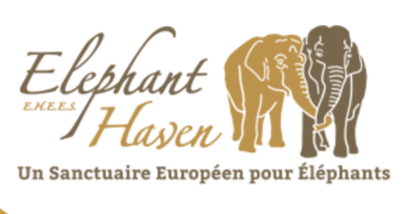 Elephant Haven Européen