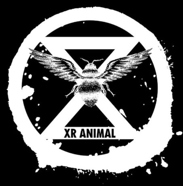 XR Animal