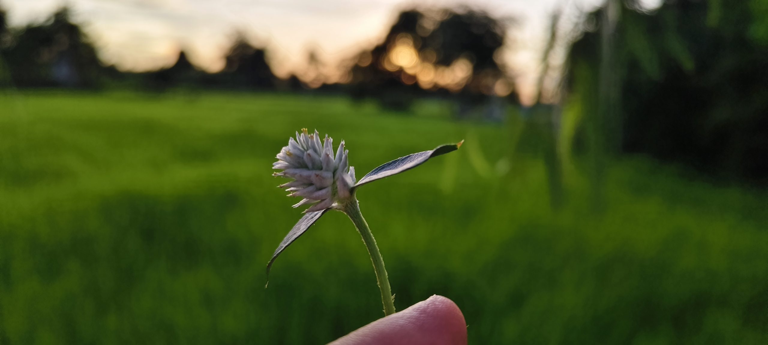 À l’image du colibri, chacun peut contribuer, à son échelle, à un monde plus conscient, plus respectueux du vivant et plus solidaire.